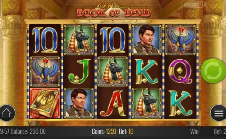 Book of Dead Slot