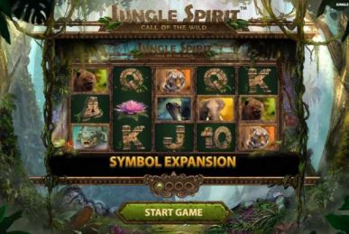 Jungle Spirit Slot Homepage