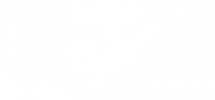 Mr Green