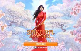 Sakura Fortune Slot Homepage