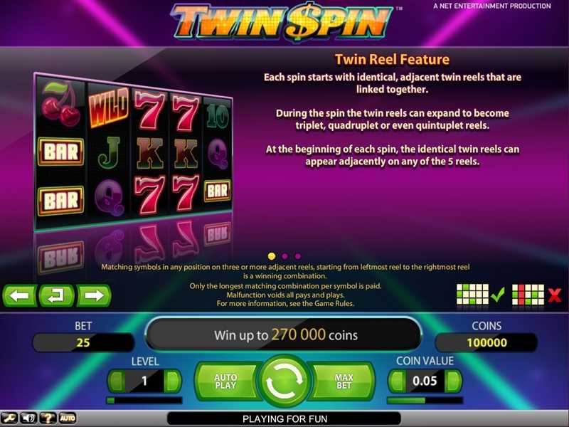 Twin Spin Slot Features