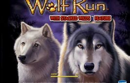 Wolf Run Slot Loading Game