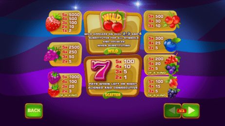Berry Berry Bonanza Slot Symbols Payouts