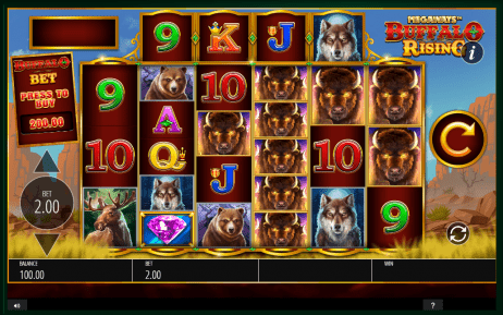 Buffalo Rising Slot