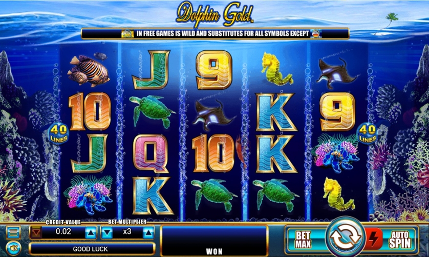 Dolphin Gold Slot Gameplay