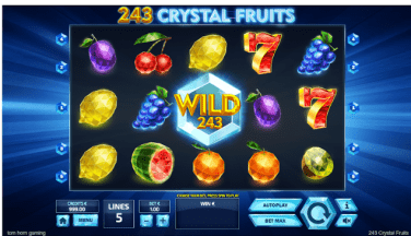 243 Crystal Fruits