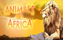 Animals of Africa Slot