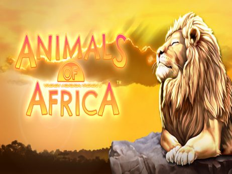 Animals of Africa Slot